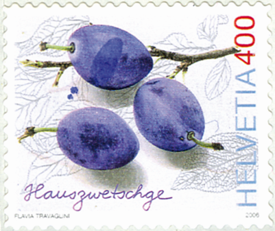 400 Rp. Hauszwetschge, "Markante blaue Farbflecken auf und neben der obersten Zwetschge"