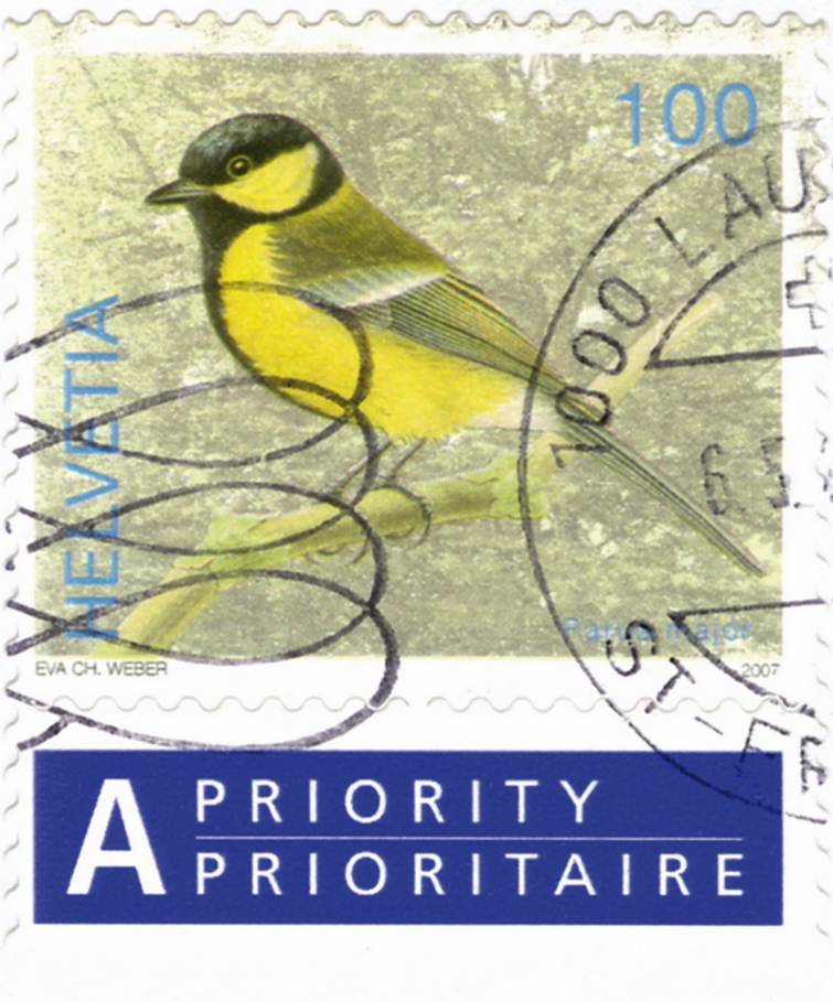 100 Rp. Kohlmeise, "Gelbe statt weisse Wange", des Vogels