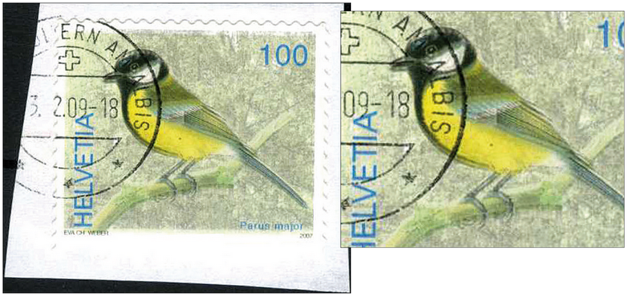 100 Rp. Kohlmeise, "Markenbild nach oben verschoben, oben das Markenbild beschneidend"