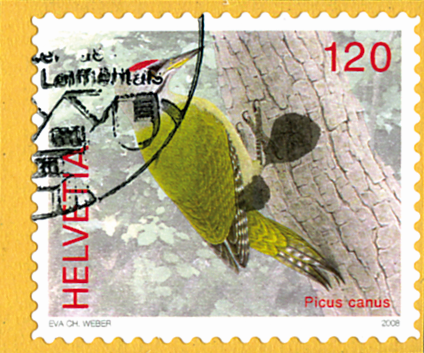 120 Rp. Grauspecht, "Zwei grosse, schwarze Farbflecken" beim Bein und dem Fuss des Spechts