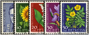 1961, Bildnis Jonas Furrers, Wiesen- und Gartenblumen