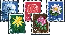 1964, Mädchenbildnis, Wiesen- und Gartenblumen