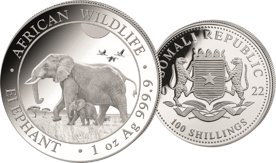 Elefant, Somalia per 1