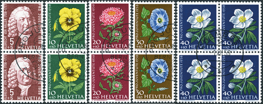 [7395.173.02] 1958, Bildnis Albert von Hallers, Wiesen- und Gartenblumen