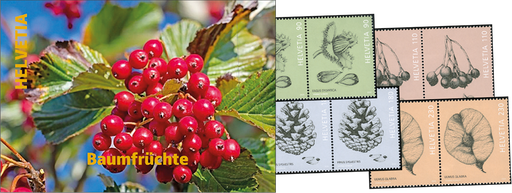 [7593.1962.01] 2023, Baumfrüchte