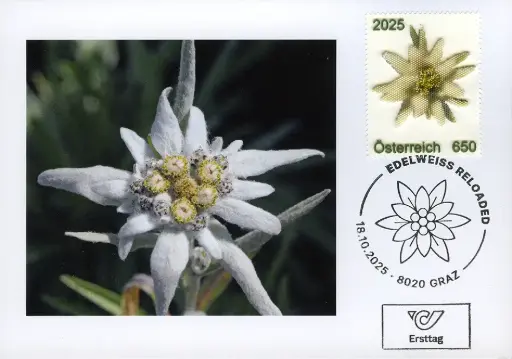 [2910.2025.03] 2025, Maximumkarte "Edelweiss reloaded" mit der ersten Briefmarke aus dem 3D-Drucker