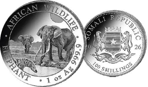 [7986.2026.01] 2026, Elefant, Somalia