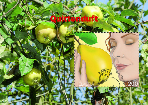 [7320.1646.01] 2017, Quittenduft