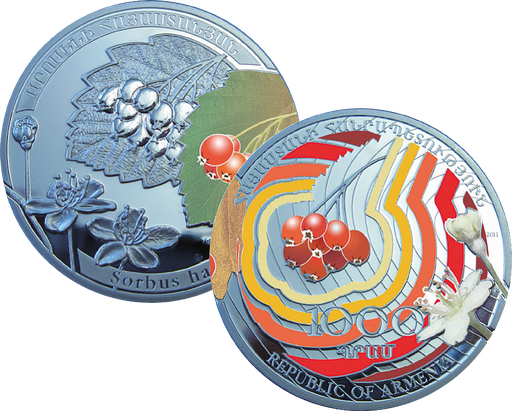 [7984.2011.01] 2011, Armenien, Europäische Eberesche, Rowan-Sorbus bajstana