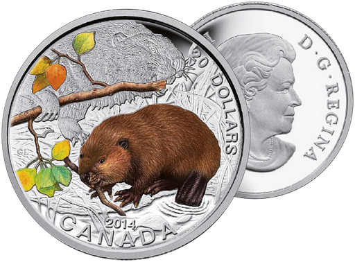 [7985.2014.04] 2014, Biber, Canada