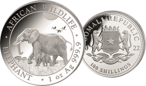 [7986.2022.09] Elefant, Somalia per 1
