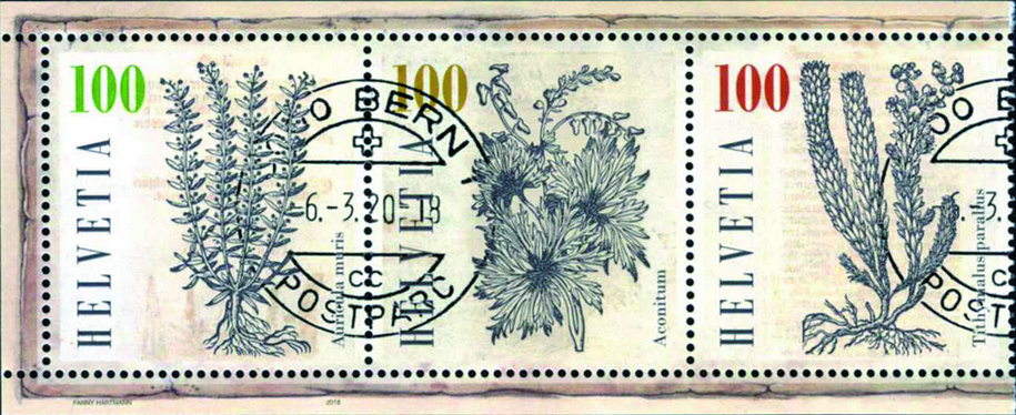 7340.273.02_06.png