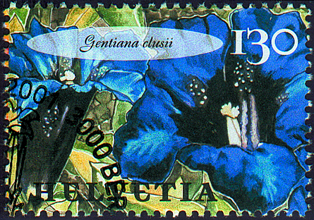7300.1029.02_01.png