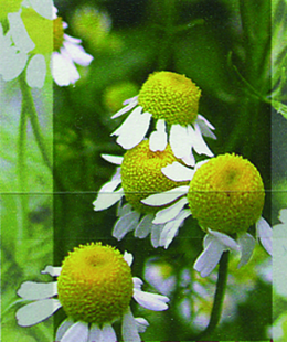 7300.1078.01_10.png