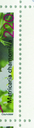 7300.1078.01_11.png