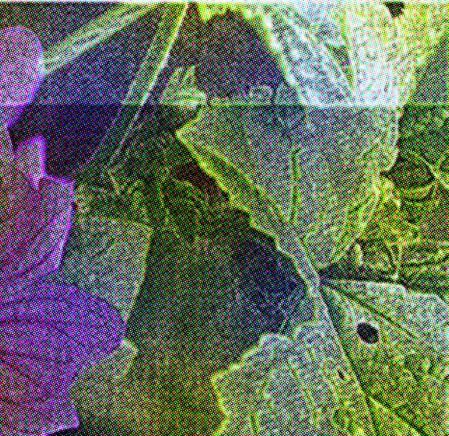 7300.1078.01_12.png
