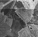 7300.1078.01_13.png