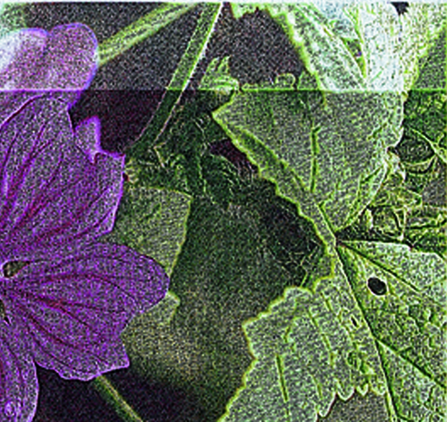7300.1078.01_14.png