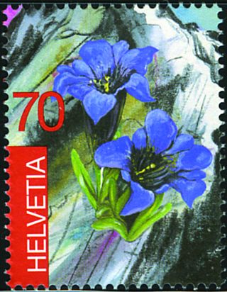 7300.1085.01_02.png