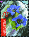 7300.1085.01_02.png
