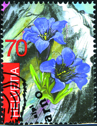 7300.1085.02_02.png