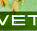 7300.1281.04_01.png
