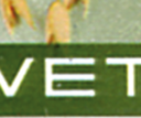 7300.1281.04_2.png