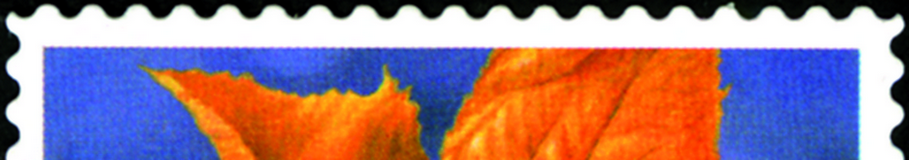 7300.1376.01_02.png
