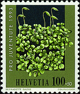 7390.328.01_01.png