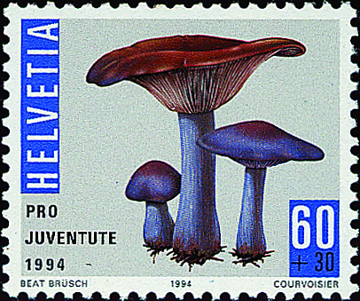 7390.332.02_03.png