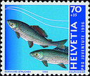 7390.340.01_02.png