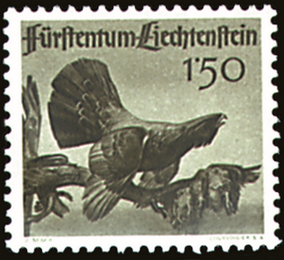 7825.206.01_3.png
