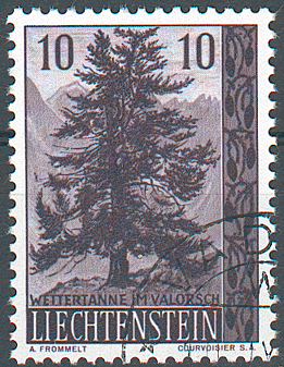 7825.297.02_6.png