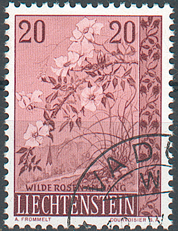 7825.297.02_8.png