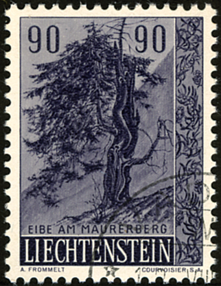 7825.309.02_6.png