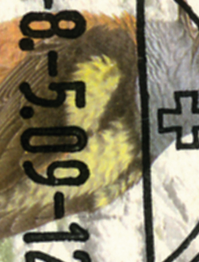 7300.1272.05_2.png