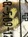 7300.1272.05_2.png