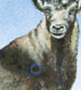 7300.2006.41_2.png