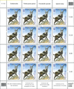 7300.2006.41_1.png