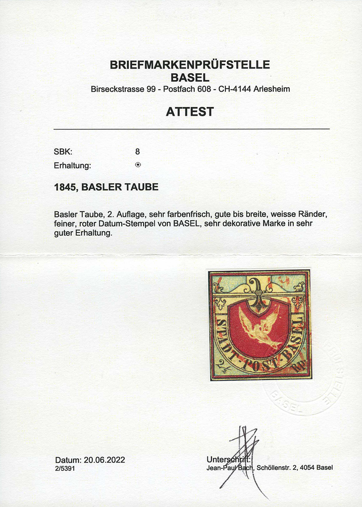 1845, Basler Taube schwarz-blau-karmin