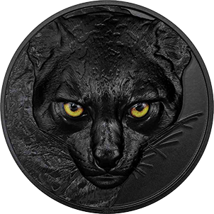 2024, Hunters by Night Ocelot, Palau