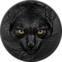 2024, Hunters by Night Ocelot, Palau