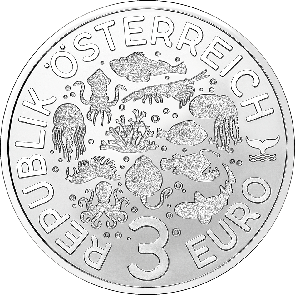 2025, Leuchtkalmar, Österreich