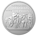 2022, Sumatran Elephant, aus der Serie &quot;Australia Zoo&quot;, Australien
