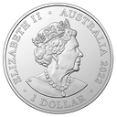 2022, Sumatran Elephant, aus der Serie "Australia Zoo", Australien