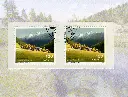 7593.1829.02_5.webp