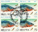 7596.46.03_3.webp