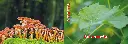 7593.2105.01_1.webp