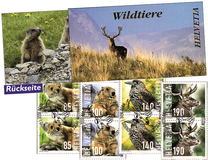 2014, Wildtiere