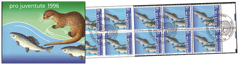 1996, Äschen-Fischotter